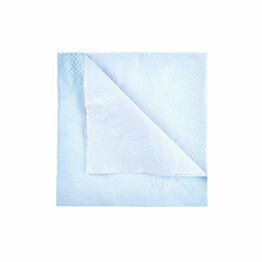 Swantex 33cm 2ply Sky Blue Paper Napkins