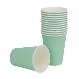 Fiesta Recyclable Single Wall Takeaway Coffee Cups Turquoise 340ml alternative