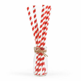 Red & White Paper Smoothie Straw 200mm x 8mm Bore