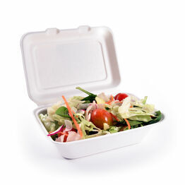 7 x 5in Bagasse Clamshell Box