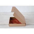 Fiesta Compostable Plain Pizza Boxes 9" additional 2