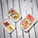 Fiesta Compostable Bagasse Food Trays 16oz additional 3