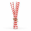 6mm x 200mm Red And White 3 Ply Premium Paper Straws additional 1