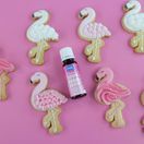 Pme 100% Natural Colour Pink - 25g additional 6