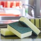 Robert Scott Large Sponge Scourer For General Use additional 4