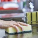 Robert Scott Large Sponge Scourer For General Use additional 5