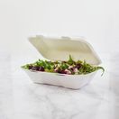 9 X 6in Large Bagasse Clamshell Va-Sh89 additional 2
