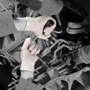 Shield GD05 Clear Powder Free Latex Gloves additional 3
