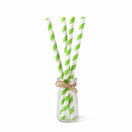 Green & White Paper Smoothie Straw 225mm x 8mm Bore additional 1