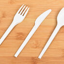 CPLA Compostable Spoons additional 2