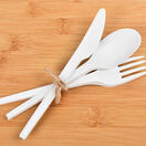 CPLA Compostable Spoons additional 3