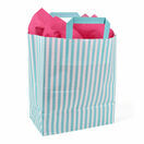 25cm x 30cm x 14cm Aqua Blue Striped Medium Paper Carrier Bags additional 1