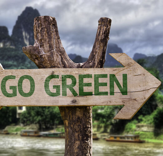 Go,Green,Wooden,Sign,With,A,Forest,Background