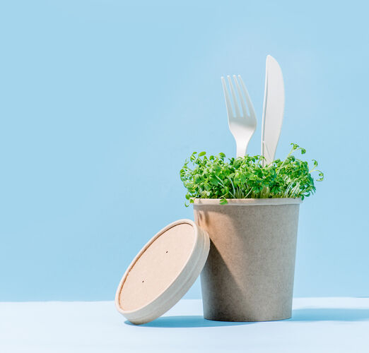 Fresh,Greens,Growing,From,Disposable,,Compostable,Paper,Flower,Pot,With