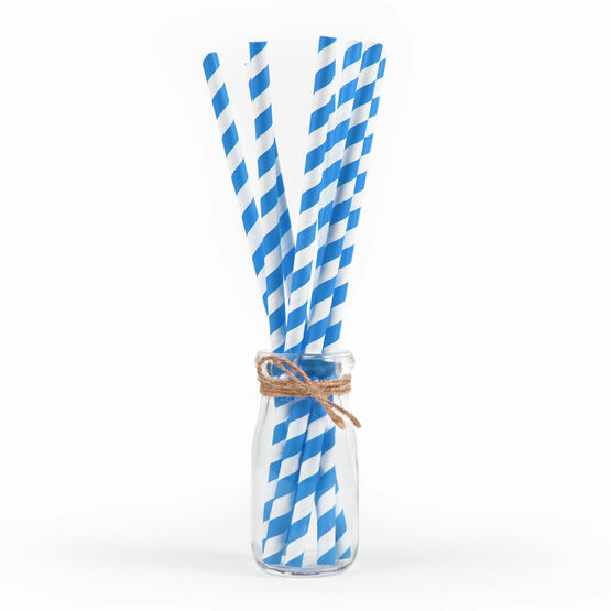 Blue And White Biodegradable 2ply Paper Straws 6mm