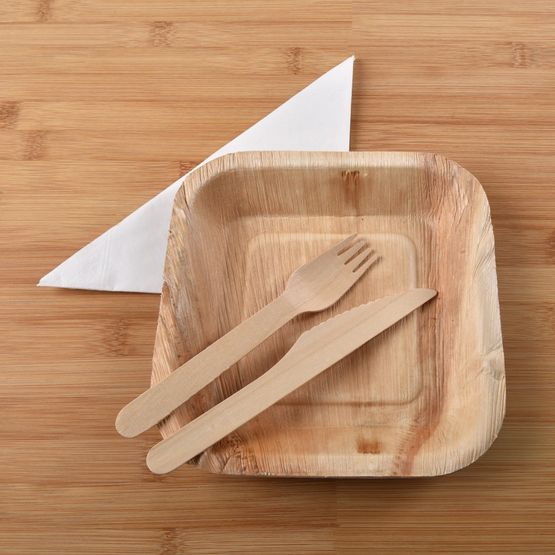 'Eco Friendly' Disposable Dinnerware Set - Premium