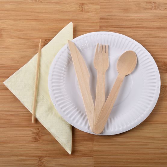 'Eco Friendly' Disposable Picnic Pack - Basic